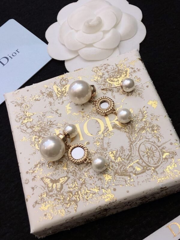 Dior Earrings: Unveil Elegance from a Simple Box