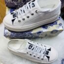 Dior Sneaker Street: Where Urban Meets Chic 0549 ws1