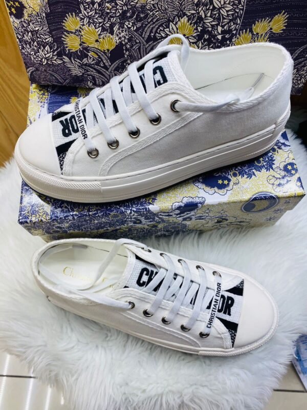 Dior Sneaker Street: Where Urban Meets Chic 0549 ws1
