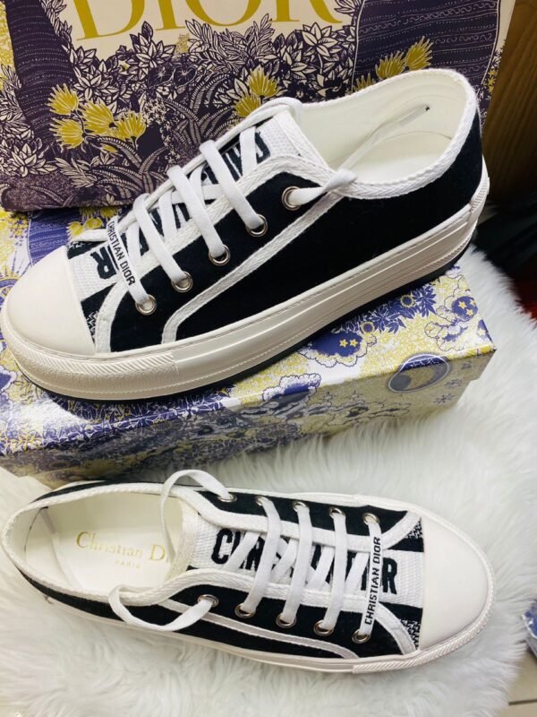 Dior Sneaker Street: Where Urban Meets Chic 0549 ws1