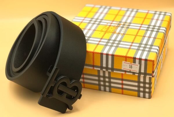 "Iconic Ensemble: High-Quality Belts from Burberry, Fendi, and Louis Vuitton"