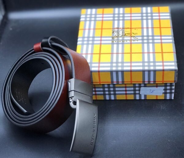 "Iconic Ensemble: High-Quality Belts from Burberry, Fendi, and Louis Vuitton"