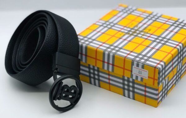 "Iconic Ensemble: High-Quality Belts from Burberry, Fendi, and Louis Vuitton"