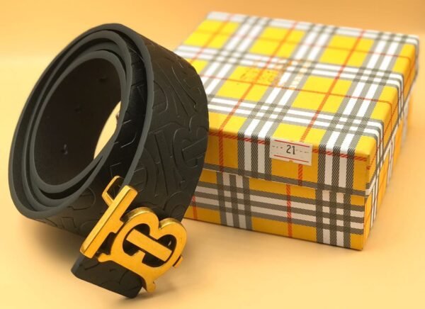 "Iconic Ensemble: High-Quality Belts from Burberry, Fendi, and Louis Vuitton"