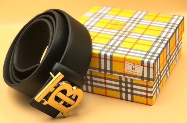 "Iconic Ensemble: High-Quality Belts from Burberry, Fendi, and Louis Vuitton"