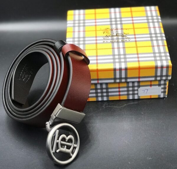 "Iconic Ensemble: High-Quality Belts from Burberry, Fendi, and Louis Vuitton"