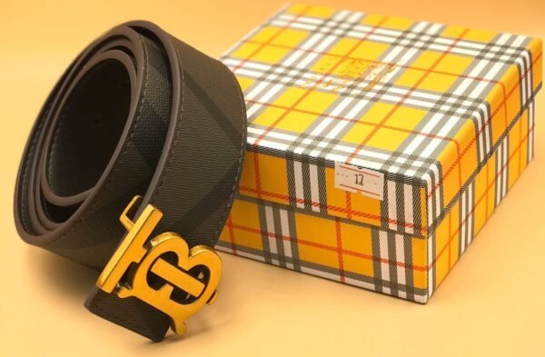 "Iconic Ensemble: High-Quality Belts from Burberry, Fendi, and Louis Vuitton"