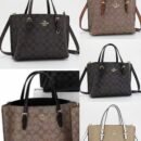Indulge in luxury with the Coach Tote Bag – a symbol of first-copy craftsmanship. Presented in its exquisite box