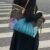 the First Copy Louis Vuitton Neverfull tote bag. With dimensions measuring 45 x 30 cm - 1